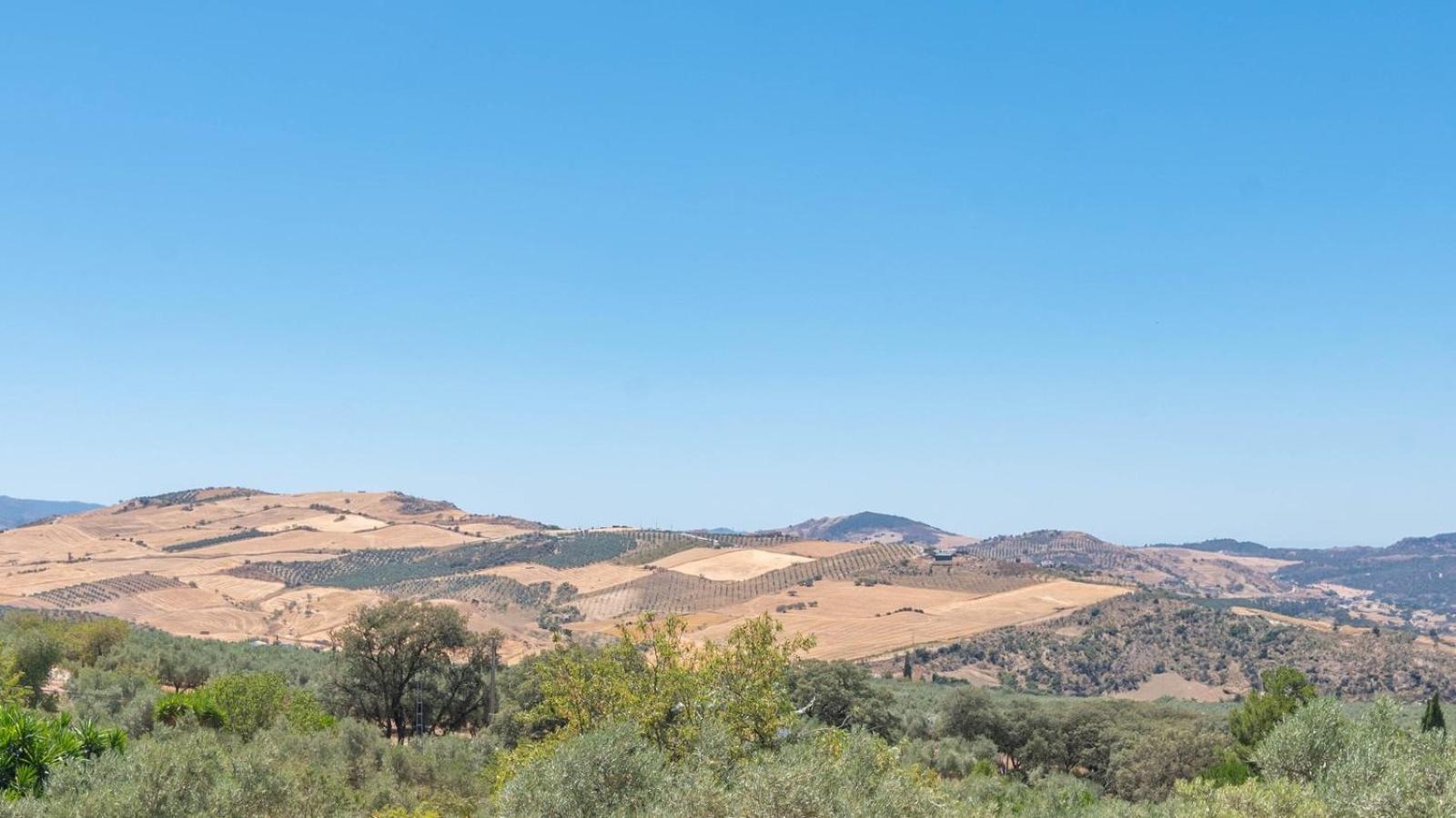 Willa Casa Pulirio Antequera - La Higuera By Ruralidays Zewnętrze zdjęcie